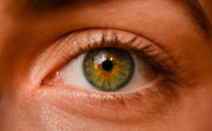 Oczy to ekstrawagancki narząd. To naturalnie dzięki nim spostrzegamy.